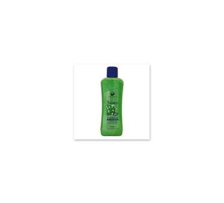 Soft & Gentle Szampon do włosów, ziołowy 1000 ml